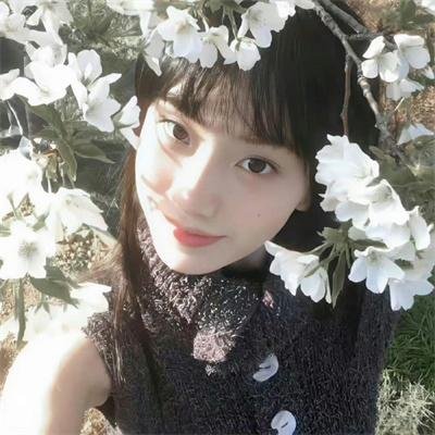 血鳄深渊