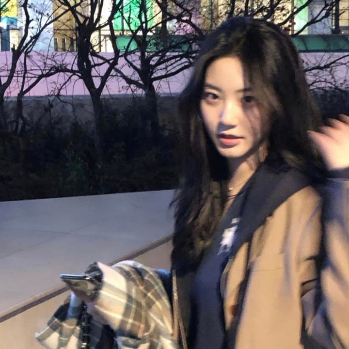战地莺花